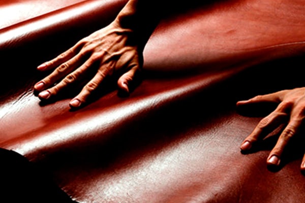 Genuine Leather Digital Cutting System application reference
